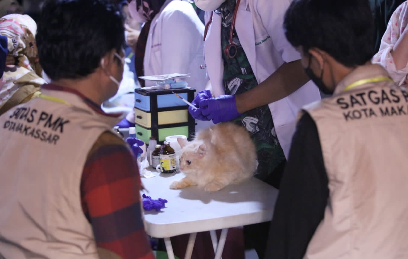 Vaksin Rabies Gratis Animal Care Disambut Antusias Pengunjung Makassar F8